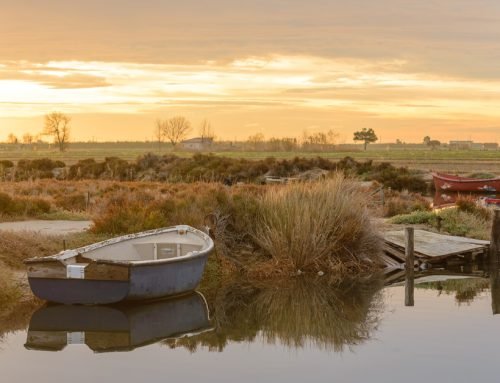 LA MAGIA DE LA NATURALEZA