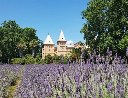 UN JARDÍN CON HISTORIA – PARC SAMÀ