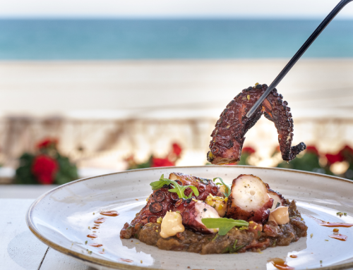 JORNADAS GASTRONÓMICAS DEL PULPO